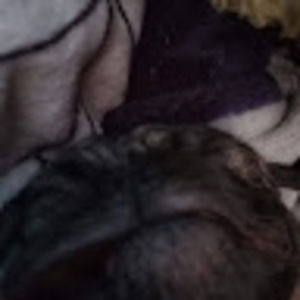 Meet your Posher, King